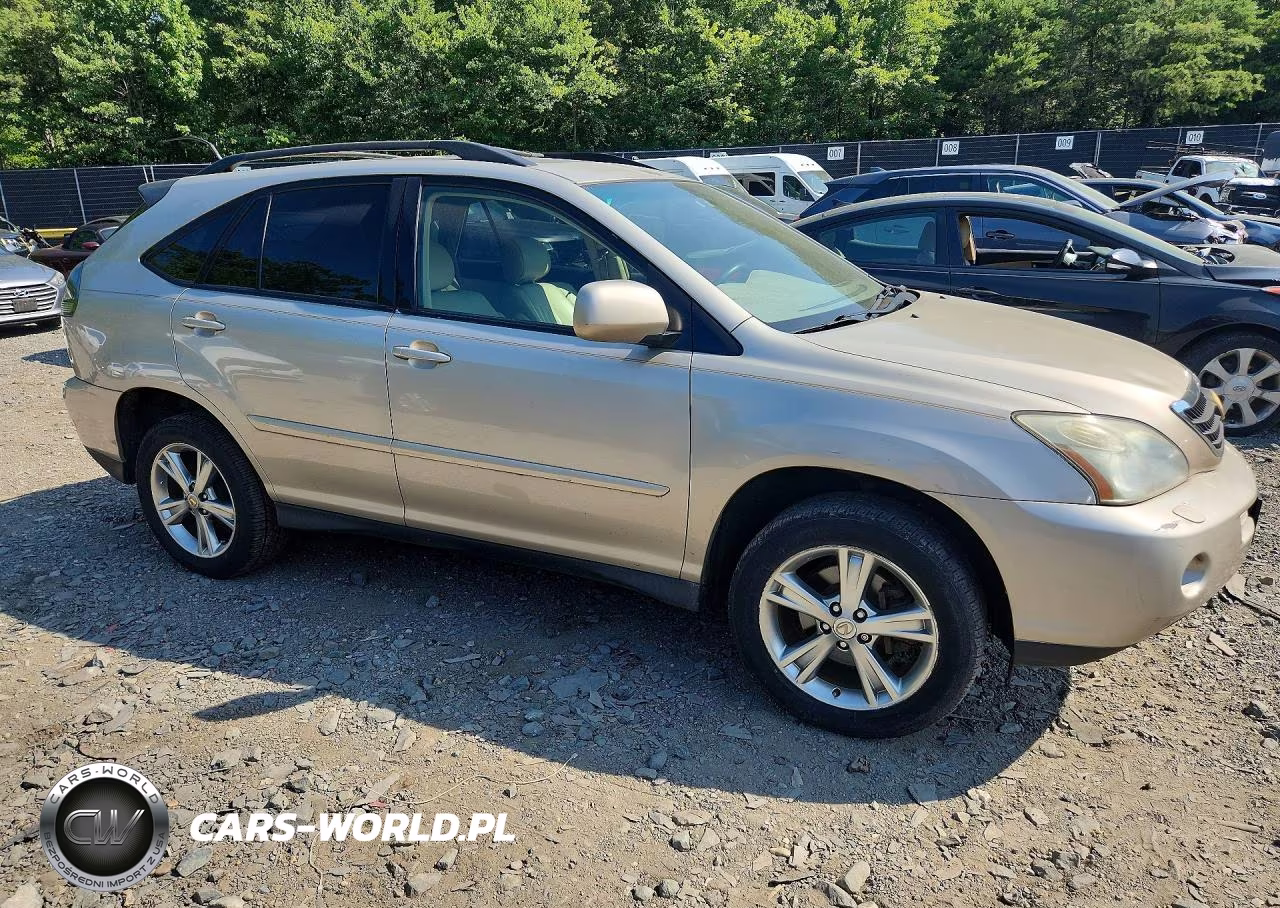 2006 Lexus Rx 400 VIN:JTJHW31U460030452 - 4