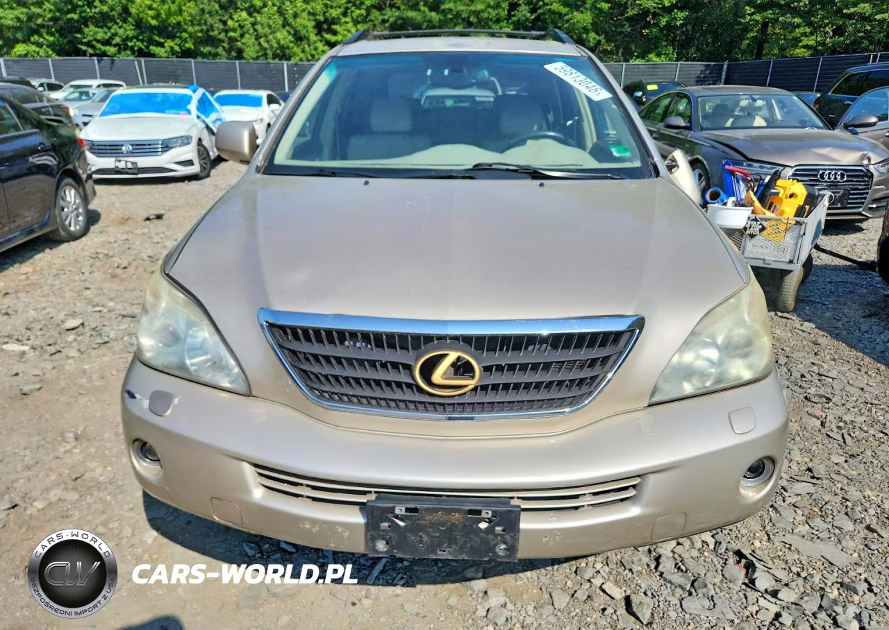 2006 Lexus Rx 400 VIN:JTJHW31U460030452 - 5