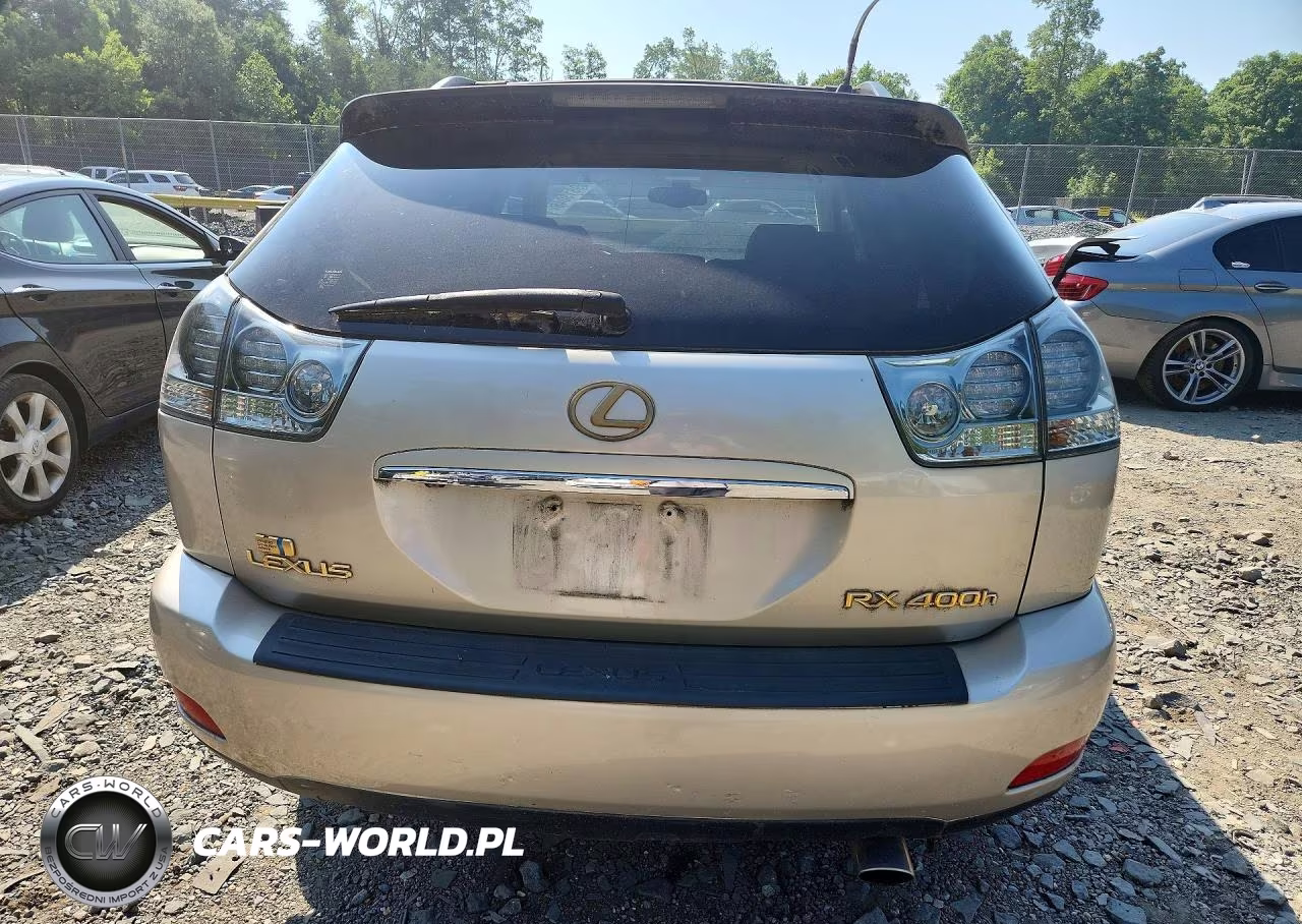 2006 Lexus Rx 400 VIN:JTJHW31U460030452 - 6