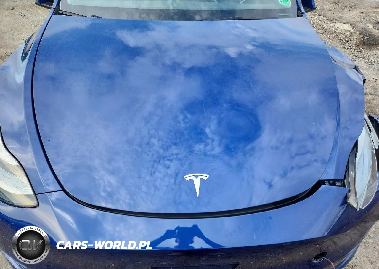 2023 Tesla Model Y VIN:7SAYGAEE4PF879140 - 12