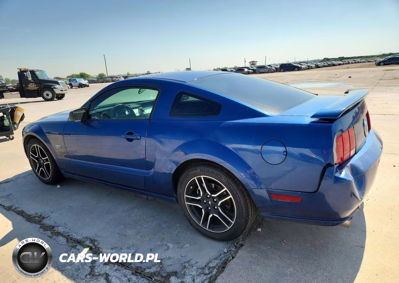 2006 Ford Mustang Gt VIN:1ZVFT82H265197099 - 2