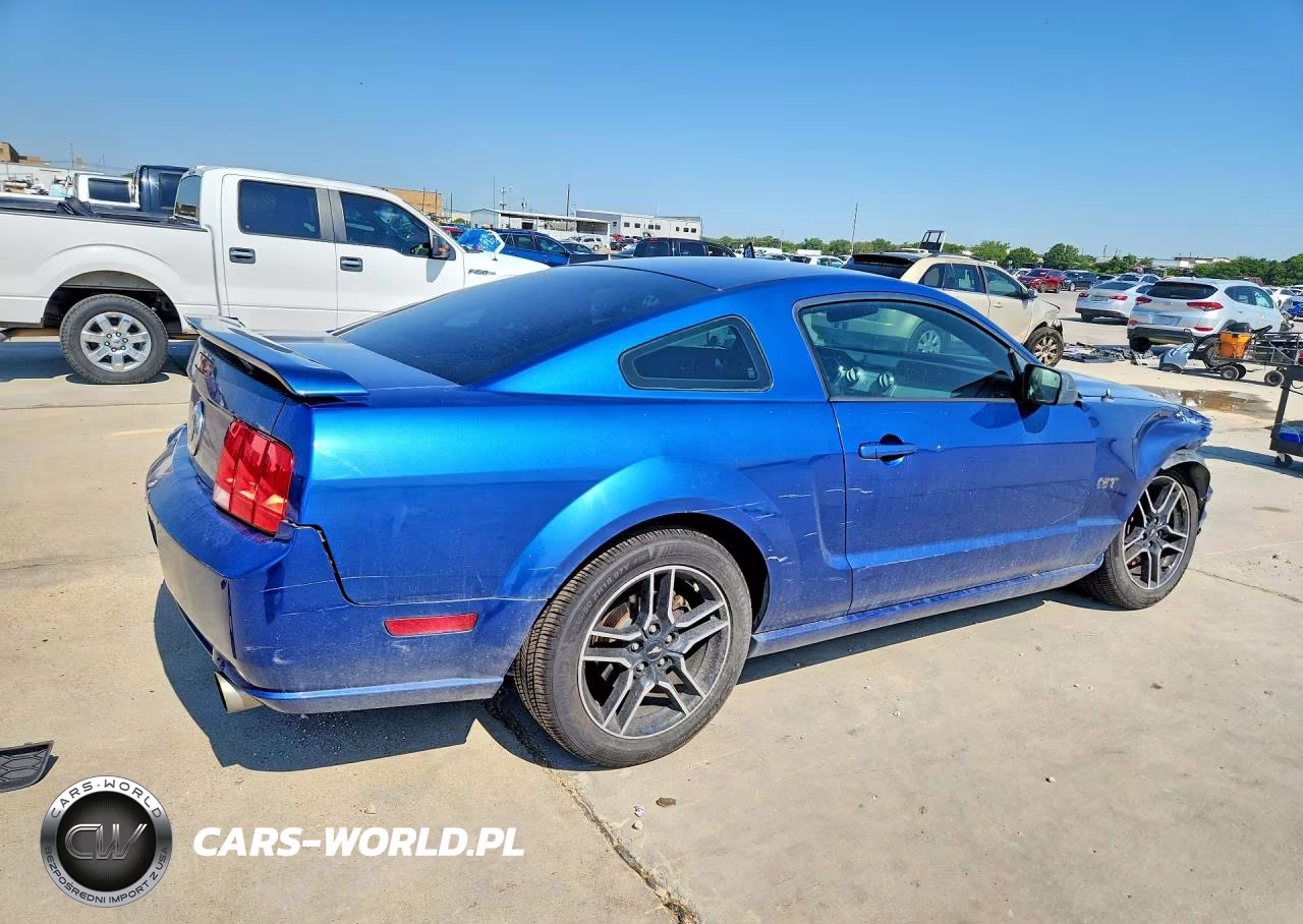 2006 Ford Mustang Gt VIN:1ZVFT82H265197099 - 3