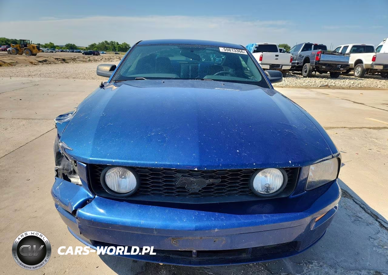 2006 Ford Mustang Gt VIN:1ZVFT82H265197099 - 5