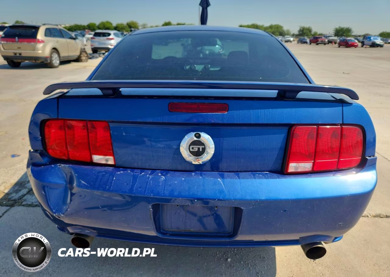 2006 Ford Mustang Gt VIN:1ZVFT82H265197099 - 6