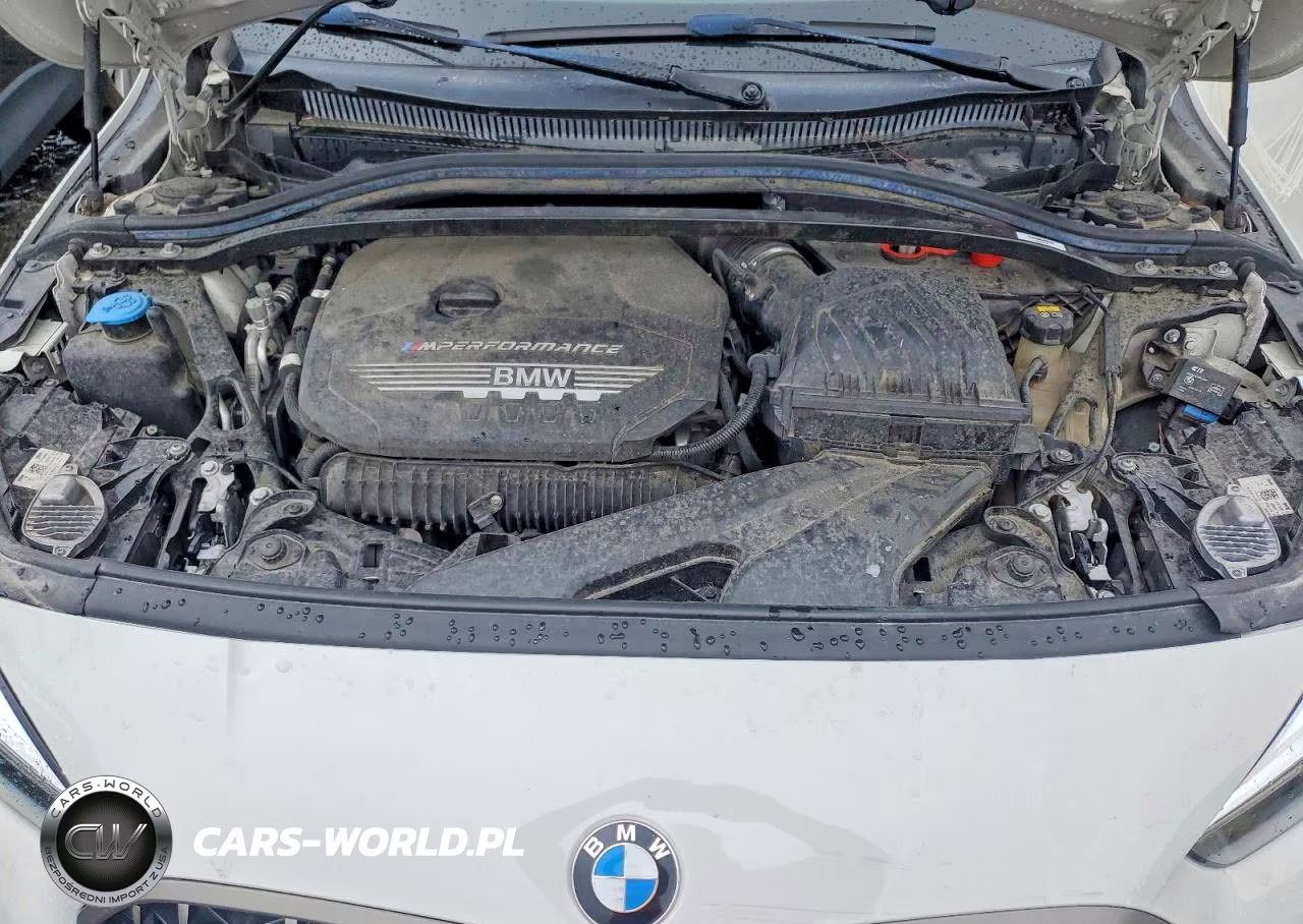 2020 BMW M235Xi VIN:WBA13AL07L7F58839 - 11