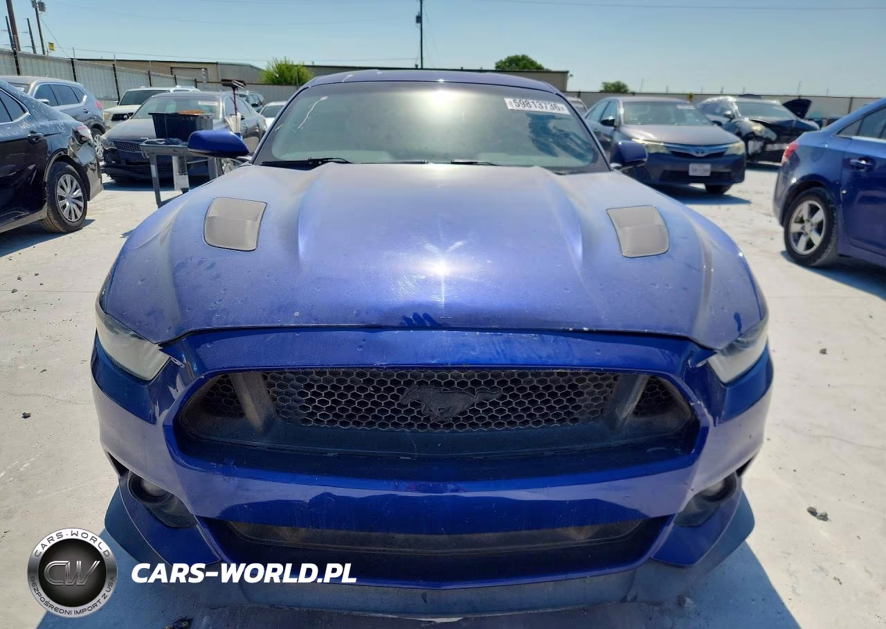 2015 Ford Mustang Gt VIN:1FA6P8CF1F5418170 - 5