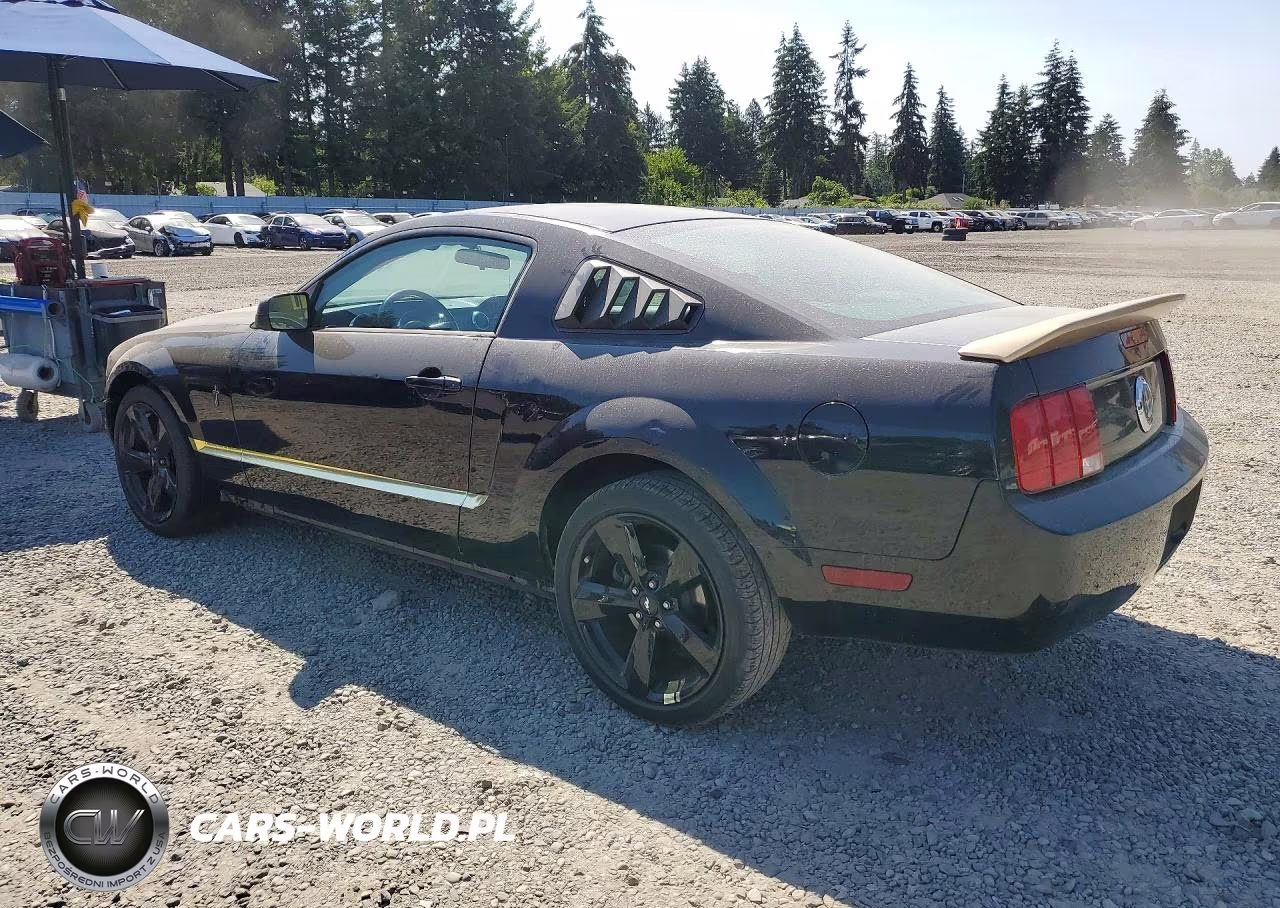 2005 Ford Mustang VIN:1ZVFT80N855188916 - 2