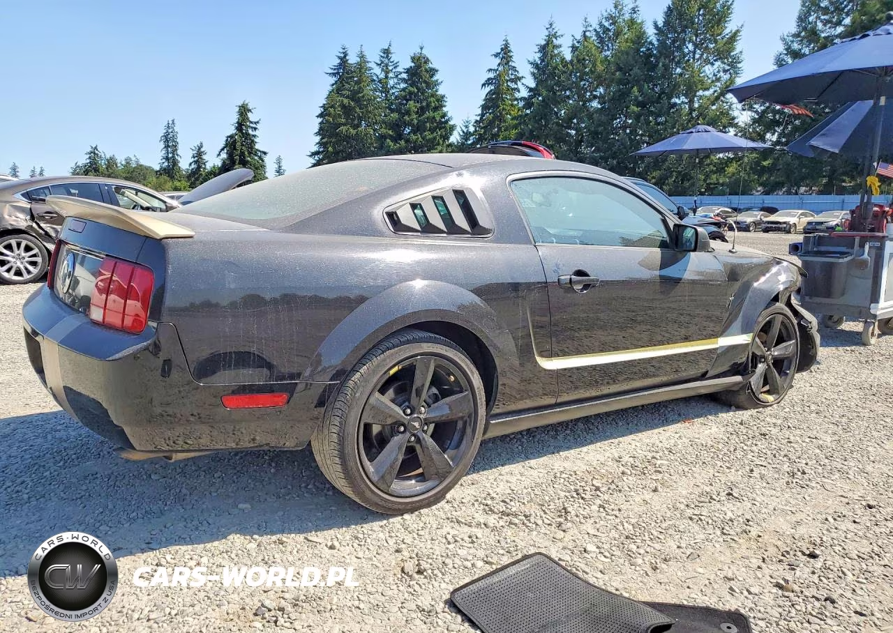 2005 Ford Mustang VIN:1ZVFT80N855188916 - 3