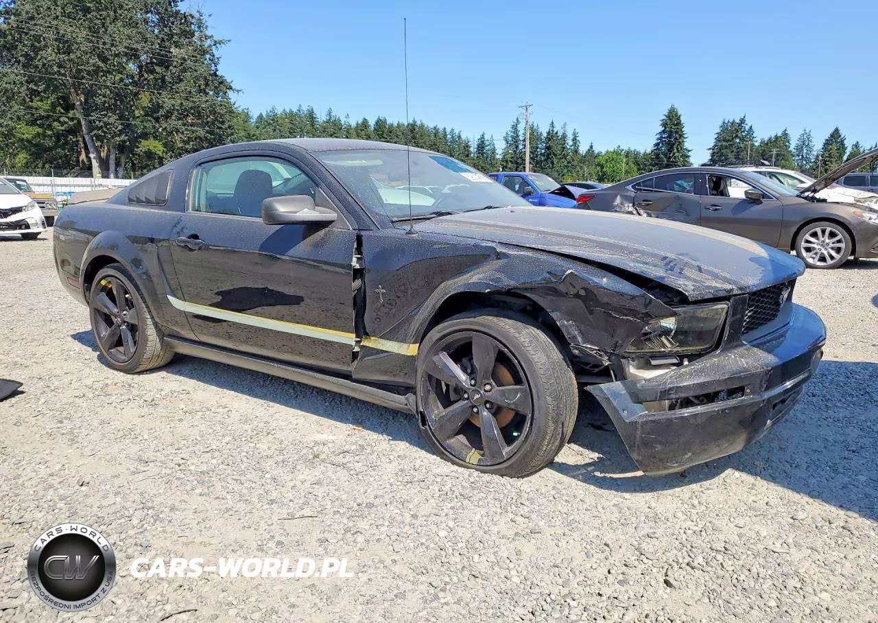 2005 Ford Mustang VIN:1ZVFT80N855188916 - 4
