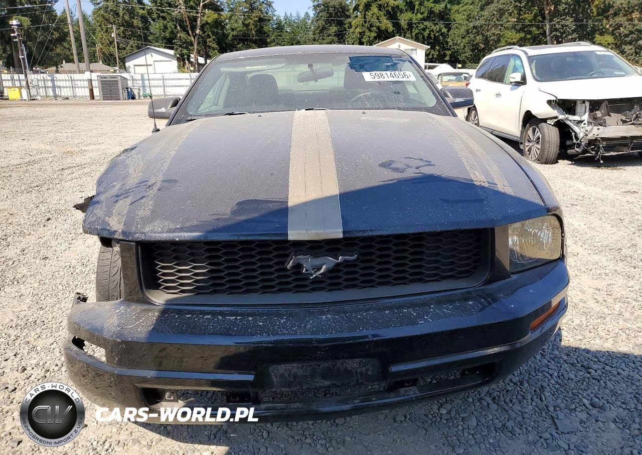 2005 Ford Mustang VIN:1ZVFT80N855188916 - 5