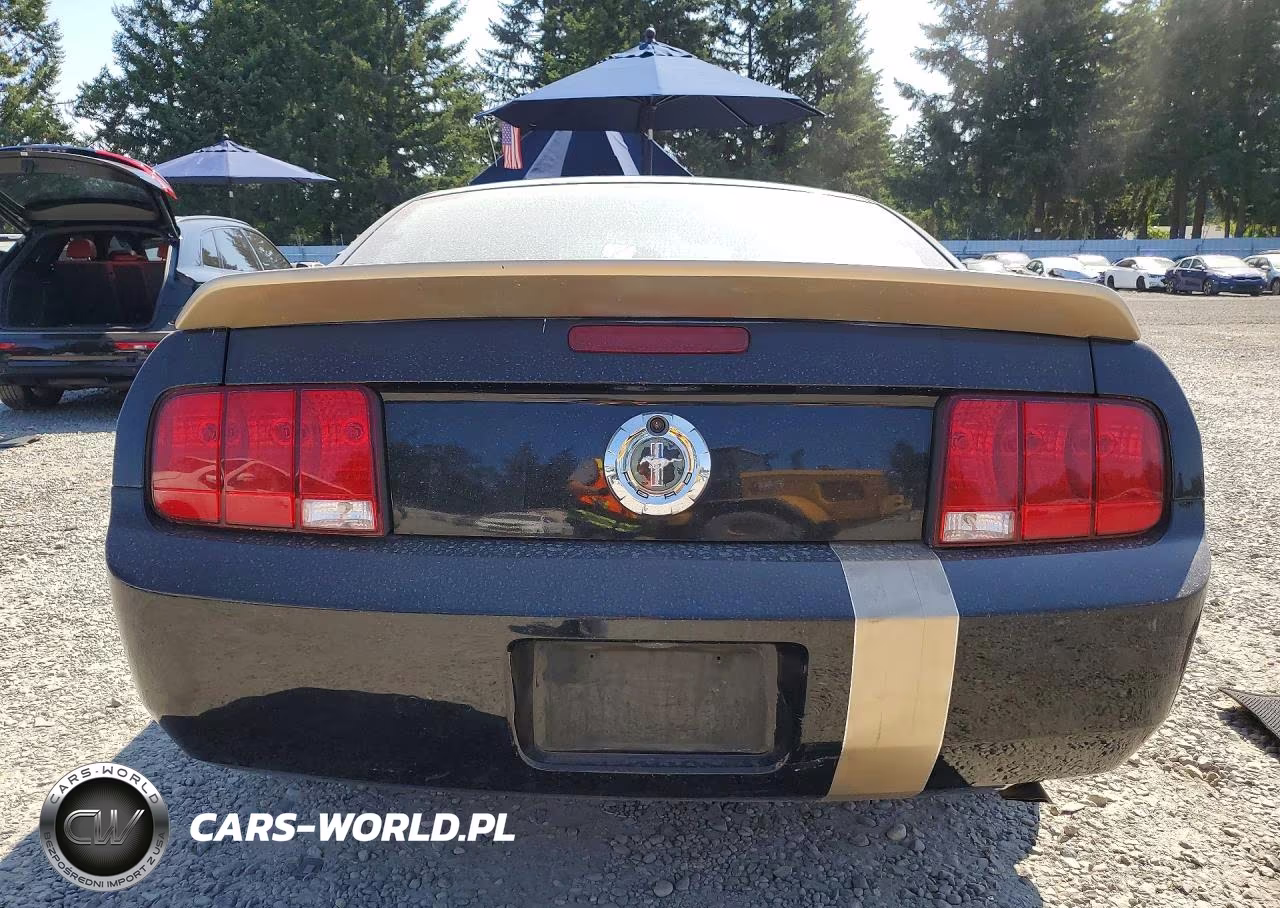 2005 Ford Mustang VIN:1ZVFT80N855188916 - 6