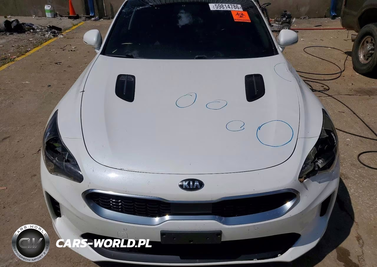 2019 Kia Stinger Premium VIN:KNAE25LA6K6059391 - 11