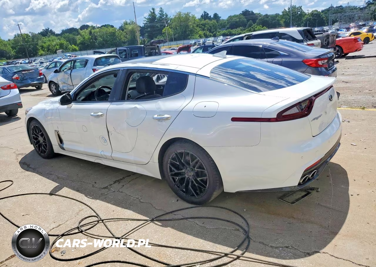 2019 Kia Stinger Premium VIN:KNAE25LA6K6059391 - 2