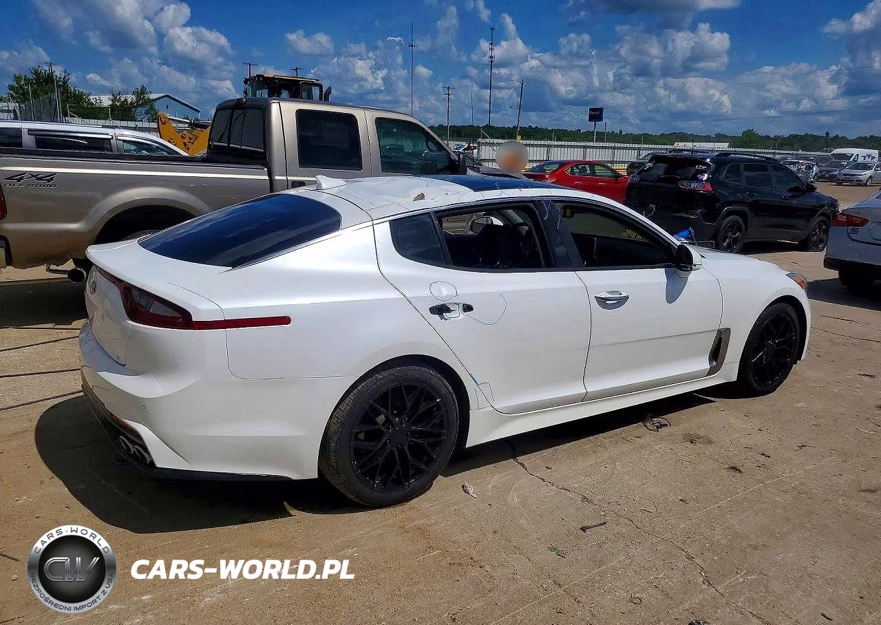 2019 Kia Stinger Premium VIN:KNAE25LA6K6059391 - 3