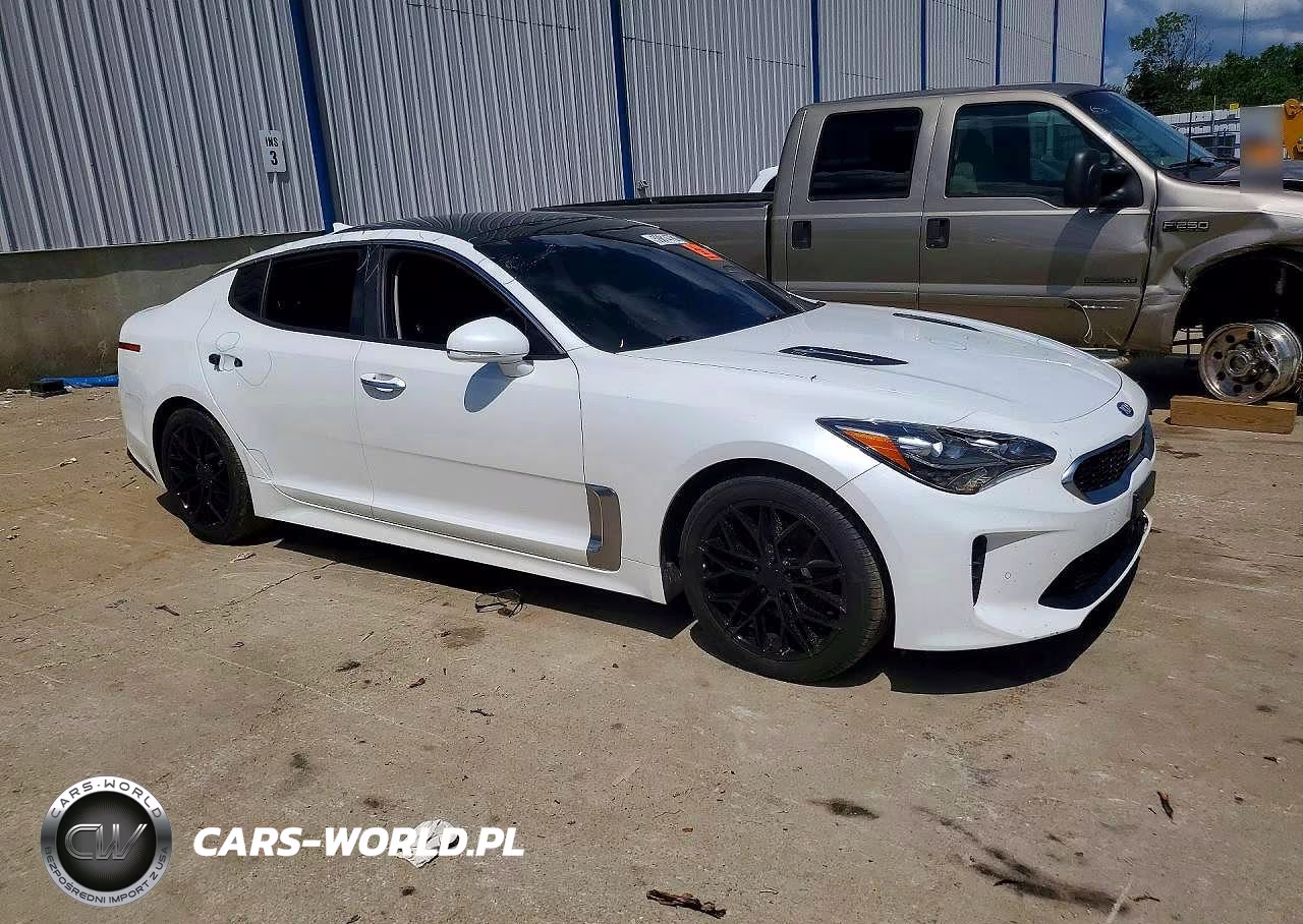 2019 Kia Stinger Premium VIN:KNAE25LA6K6059391 - 4