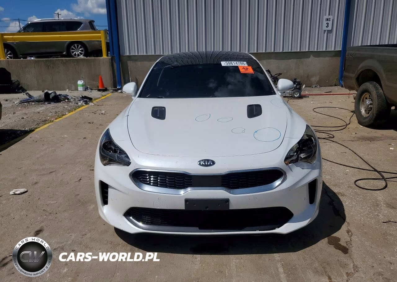 2019 Kia Stinger Premium VIN:KNAE25LA6K6059391 - 5