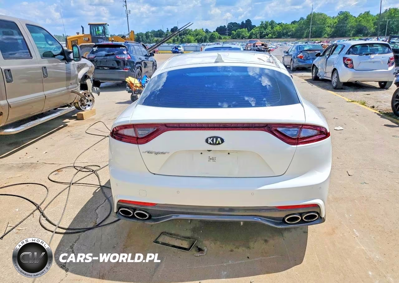 2019 Kia Stinger Premium VIN:KNAE25LA6K6059391 - 6