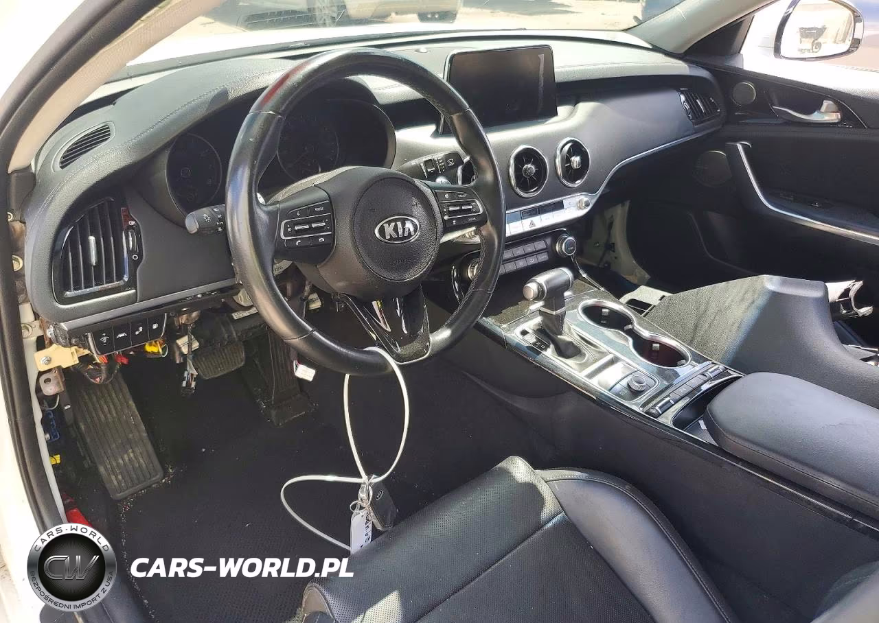 2019 Kia Stinger Premium VIN:KNAE25LA6K6059391 - 8