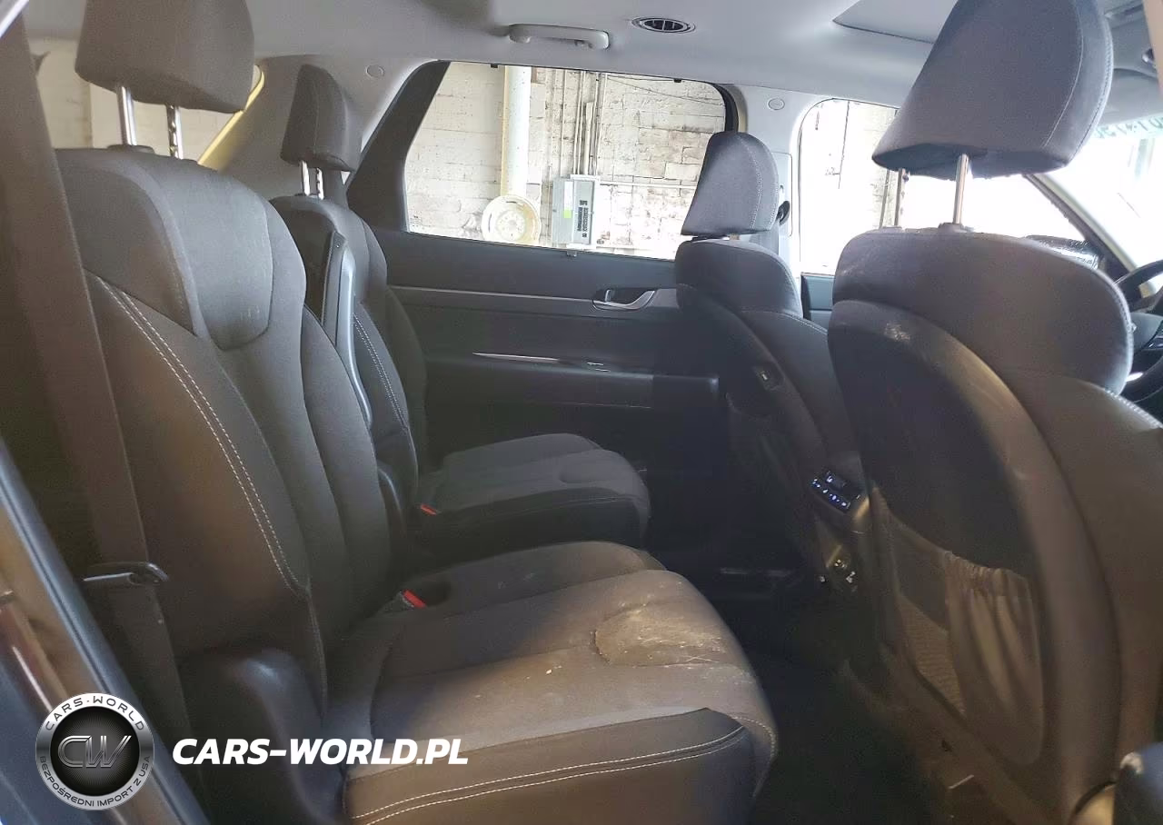 2020 Hyundai Palisade Sel VIN:KM8R3DHE2LU048274 - 11