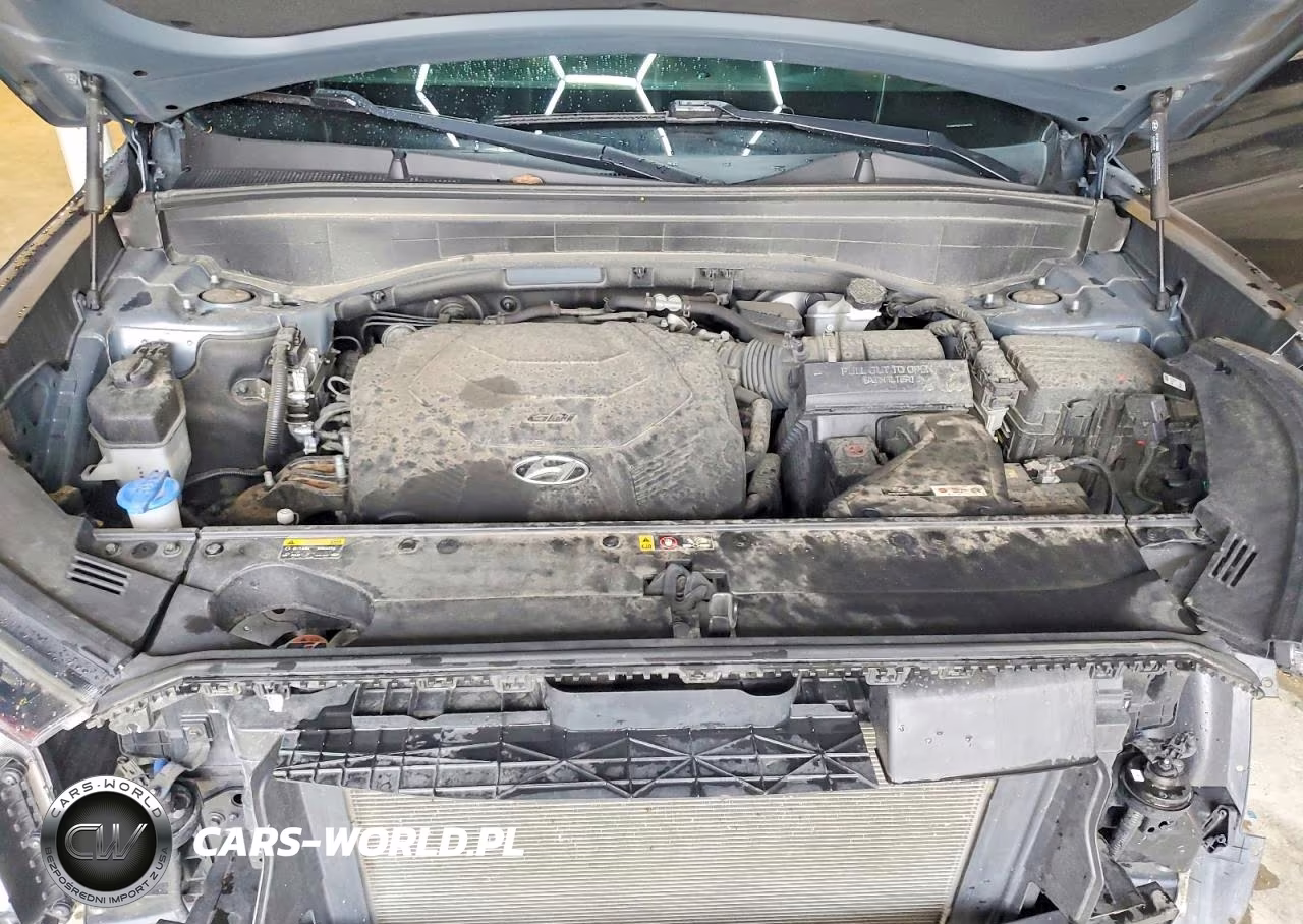 2020 Hyundai Palisade Sel VIN:KM8R3DHE2LU048274 - 12