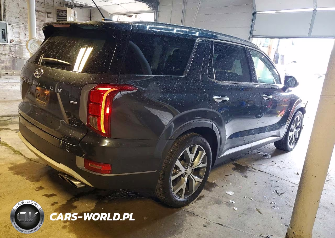 2020 Hyundai Palisade Sel VIN:KM8R3DHE2LU048274 - 3