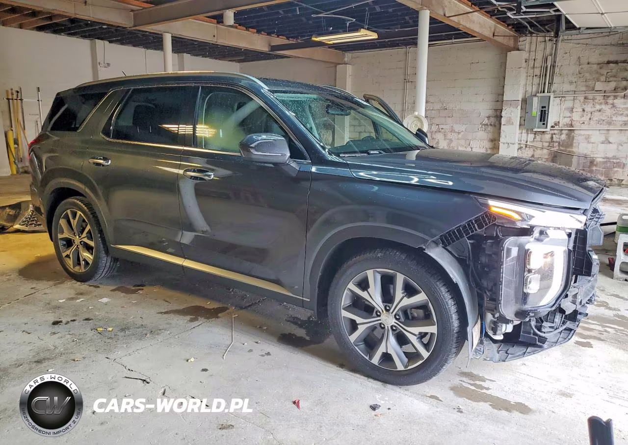 2020 Hyundai Palisade Sel VIN:KM8R3DHE2LU048274 - 4