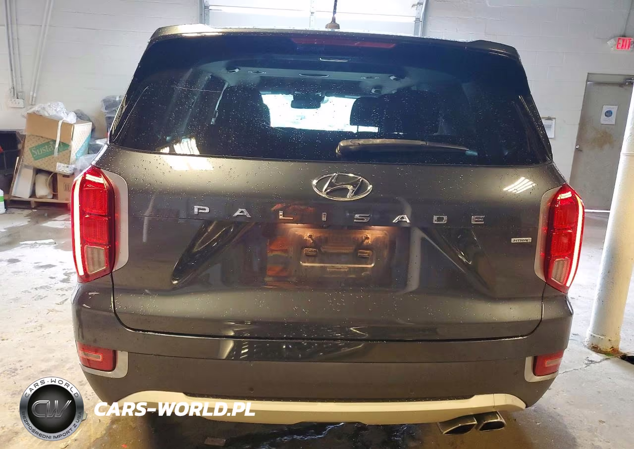 2020 Hyundai Palisade Sel VIN:KM8R3DHE2LU048274 - 6