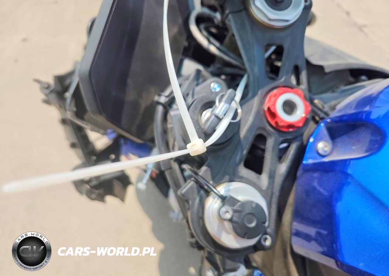 2022 BMW S 1000 Rr VIN:WB10E2300N6G05858 - 8