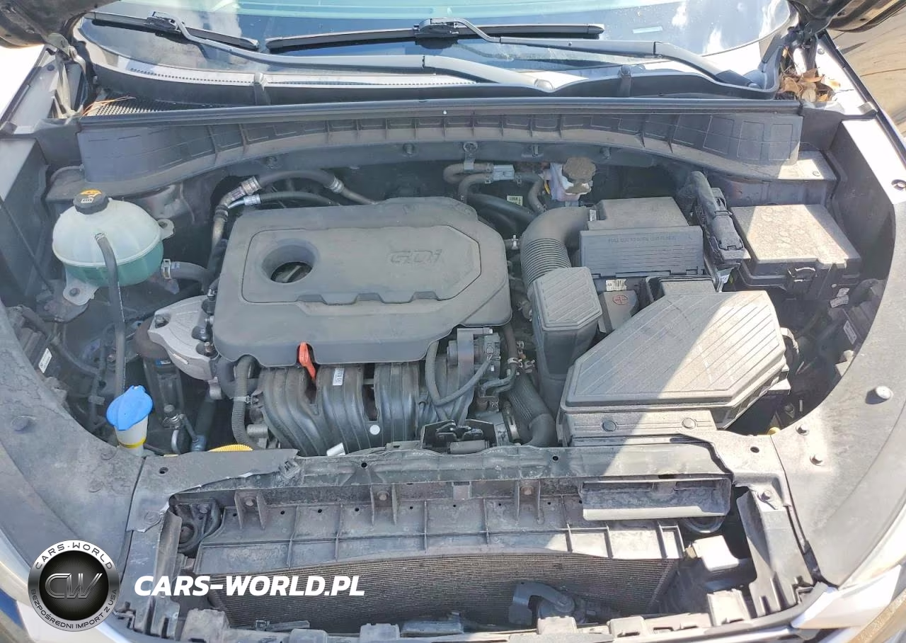 2019 Hyundai Tucson Sel VIN:KM8J3CAL4KU874347 - 12