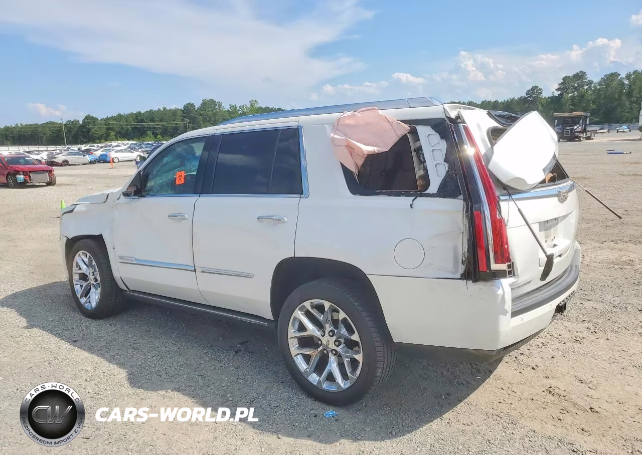 2016 Cadillac Escalade Platinum VIN:1GYS3DKJ7GR242300 - 2