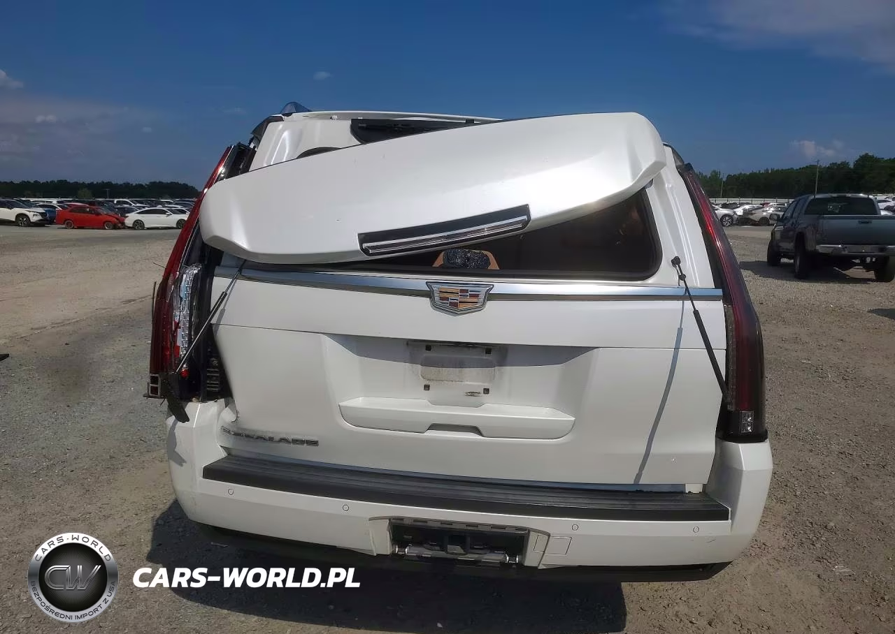 2016 Cadillac Escalade Platinum VIN:1GYS3DKJ7GR242300 - 6
