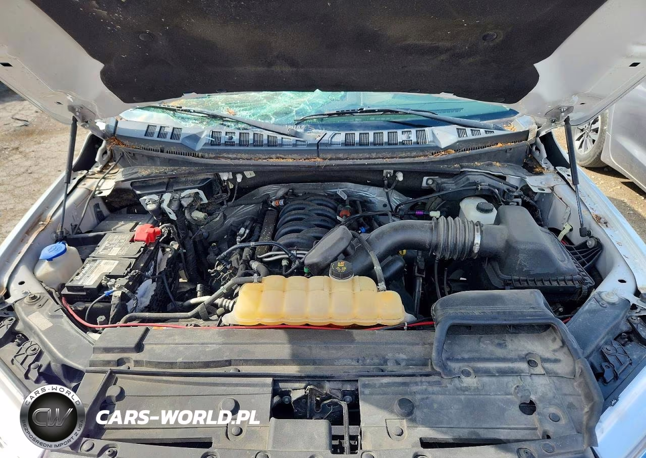 2018 Ford F150 Supercrew VIN:1FTEW1E56JFC55412 - 11