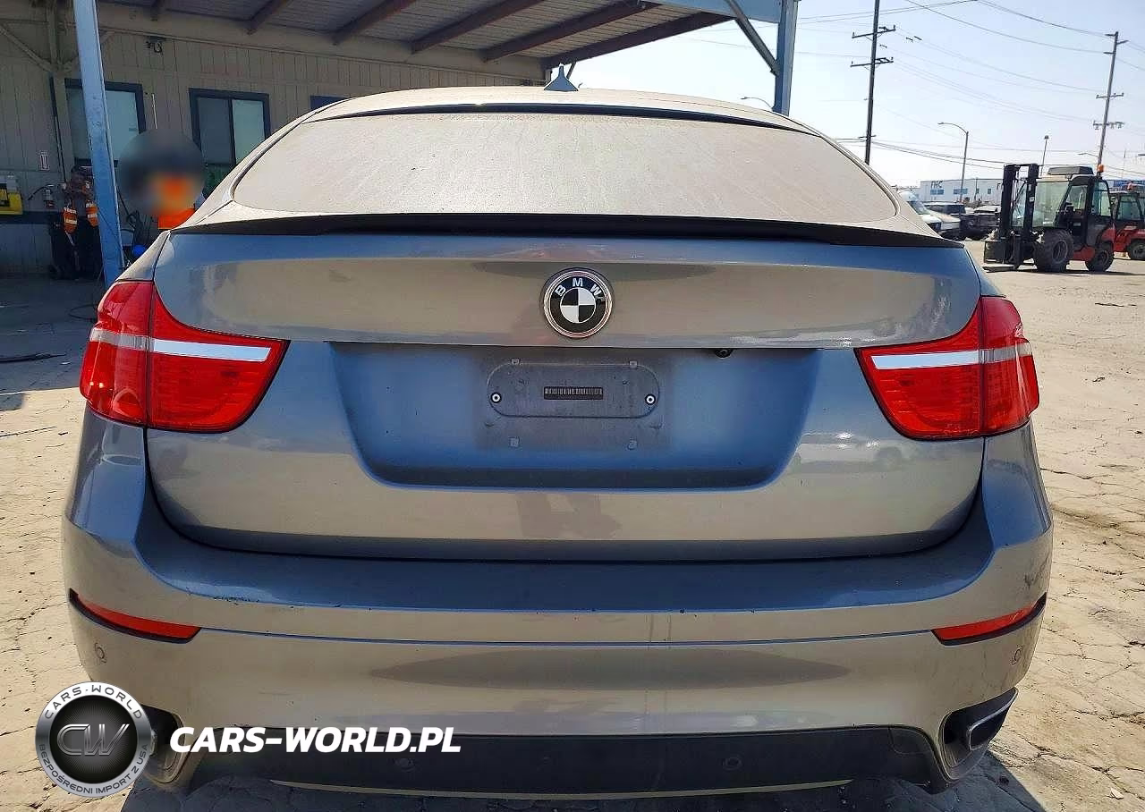 2012 BMW X6 xDrive50I VIN:5UXFG8C57CLZ97091 - 6