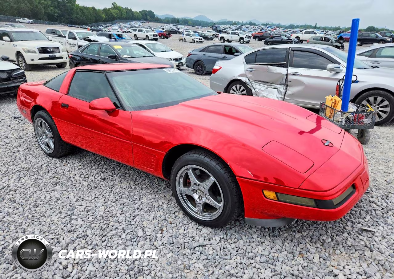 1995 Chevrolet Corvette VIN:1G1YY22P4S5105625 - 4