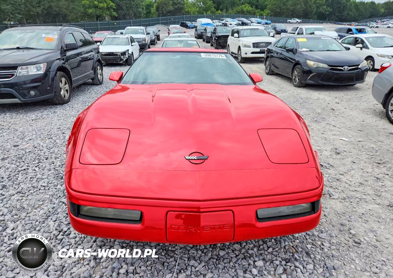 1995 Chevrolet Corvette VIN:1G1YY22P4S5105625 - 5