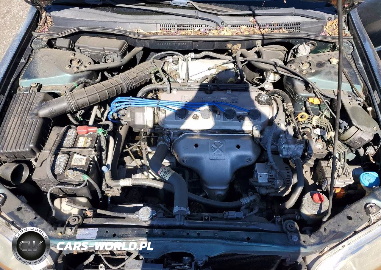 1998 Honda Accord Ex VIN:1HGCG5551WA027013 - 11