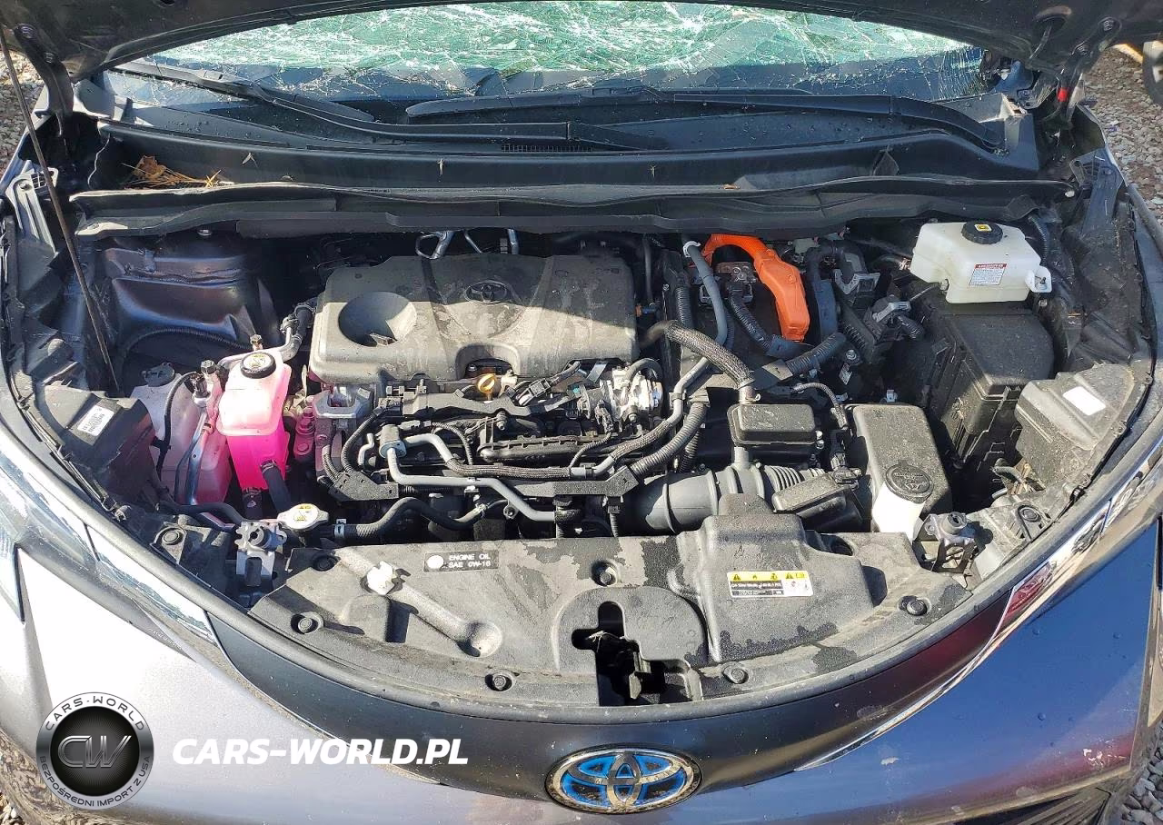 2024 Toyota Sienna Xle 7-Passenger VIN:5TDJSKFC9RS129960 - 12