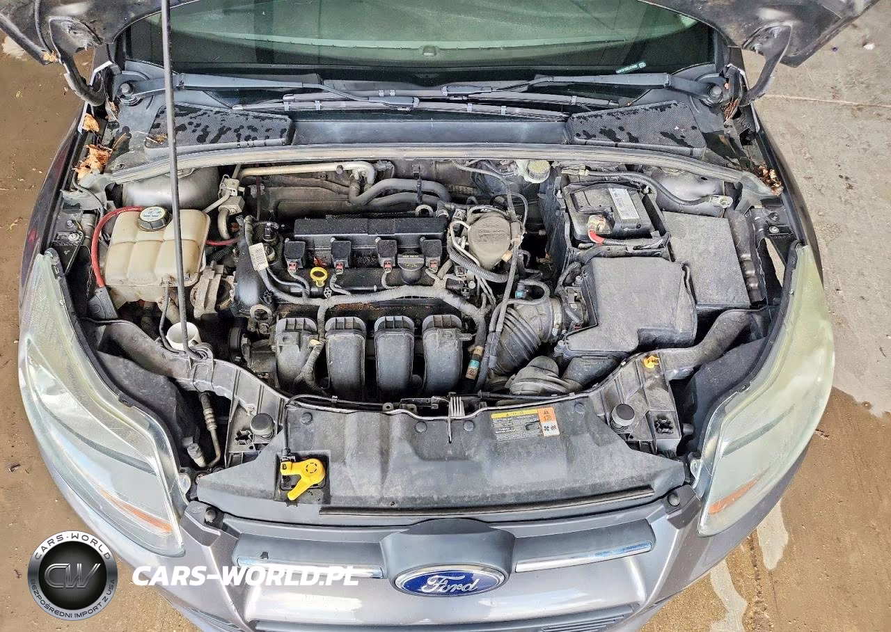 2013 Ford Focus Se VIN:1FADP3F29DL379808 - 11