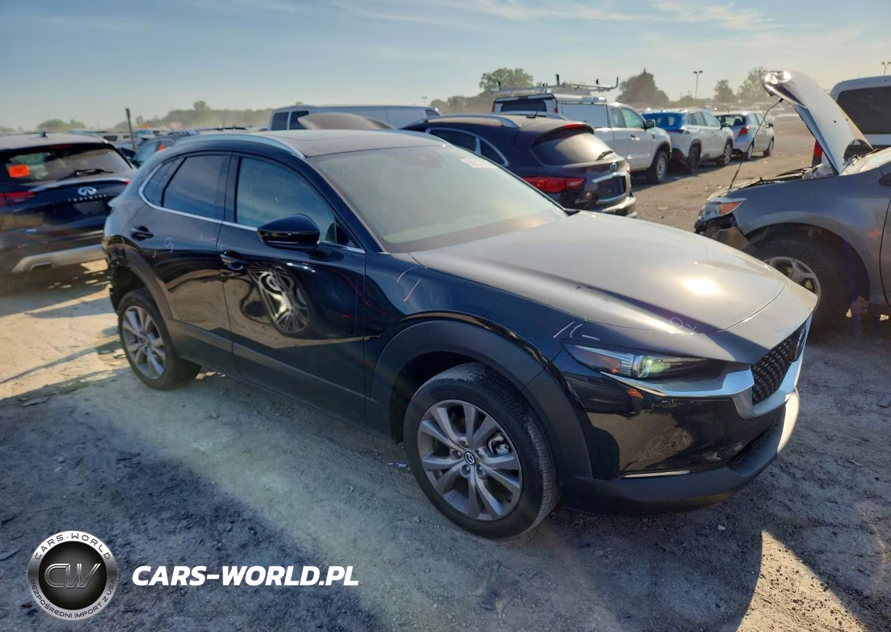 2022 Mazda Cx-30 Premium VIN:3MVDMBDL5NM439932 - 4