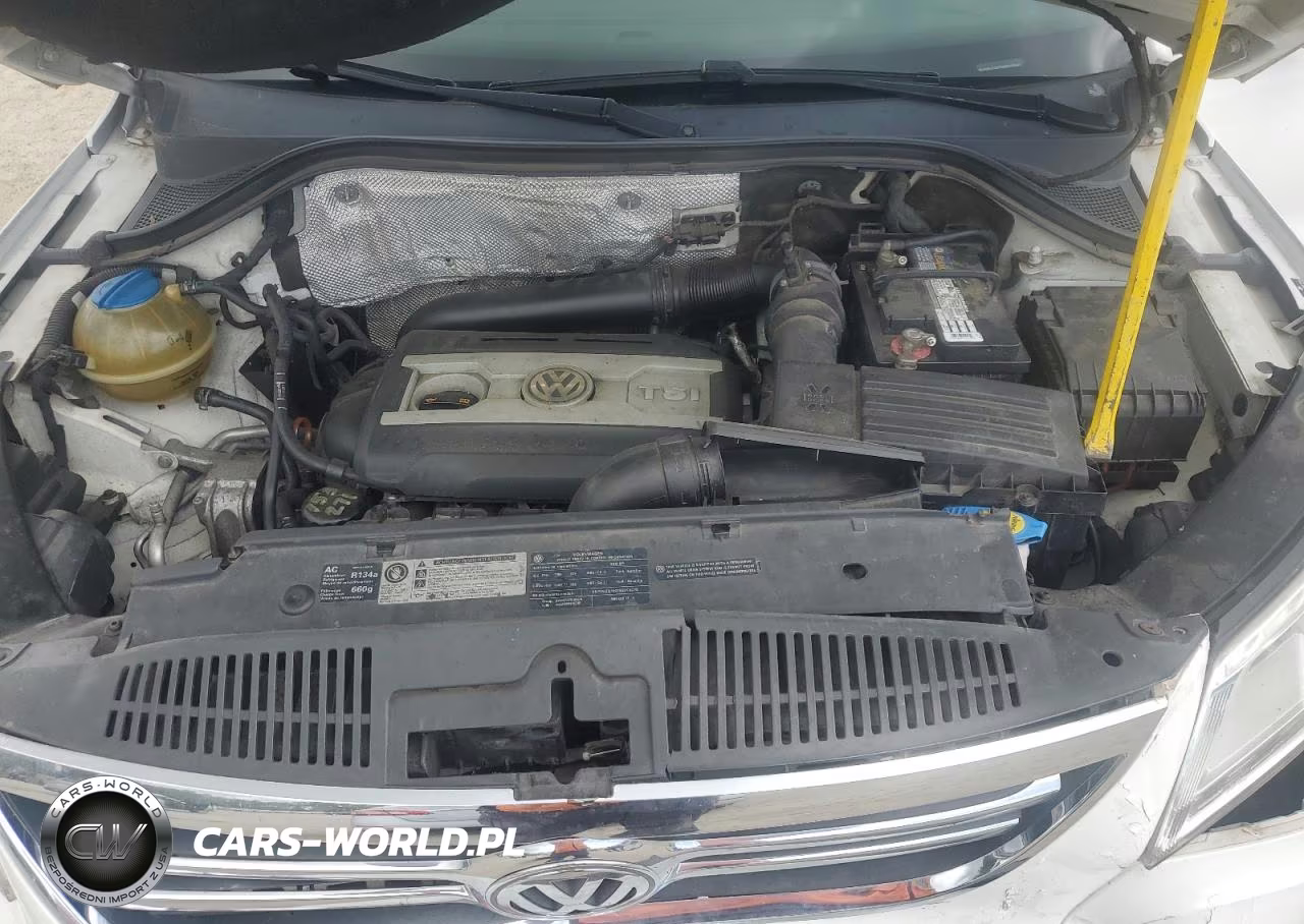 2010 Volkswagen Tiguan Se VIN:WVGBV7AX2AW516045 - 12