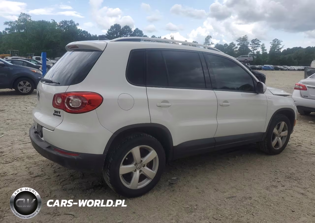 2010 Volkswagen Tiguan Se VIN:WVGBV7AX2AW516045 - 3