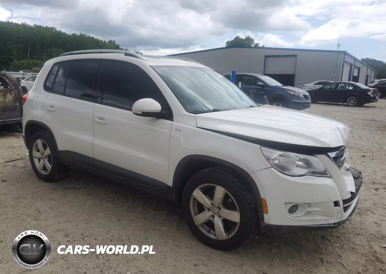 2010 Volkswagen Tiguan Se VIN:WVGBV7AX2AW516045 - 4