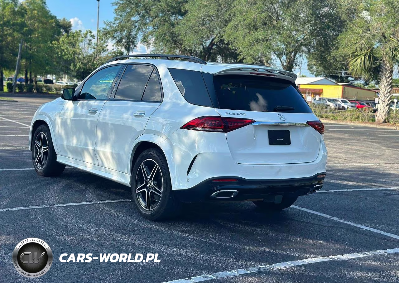 2020 Mercedes-Benz Gle 350 VIN:4JGFB4JB1LA229065 - 3