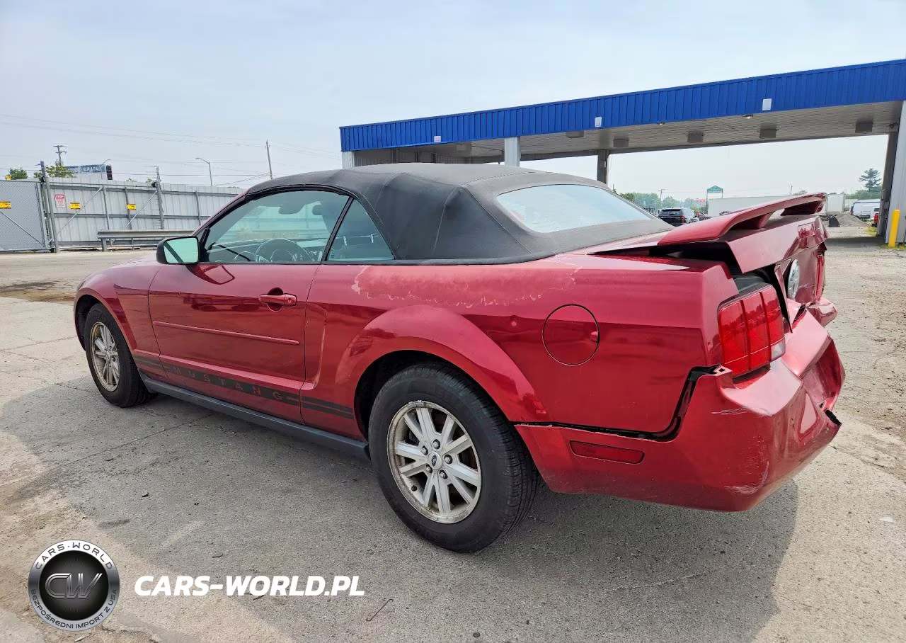 2006 Ford Mustang V6 Convertible VIN:1ZVFT84N065224819 - 2