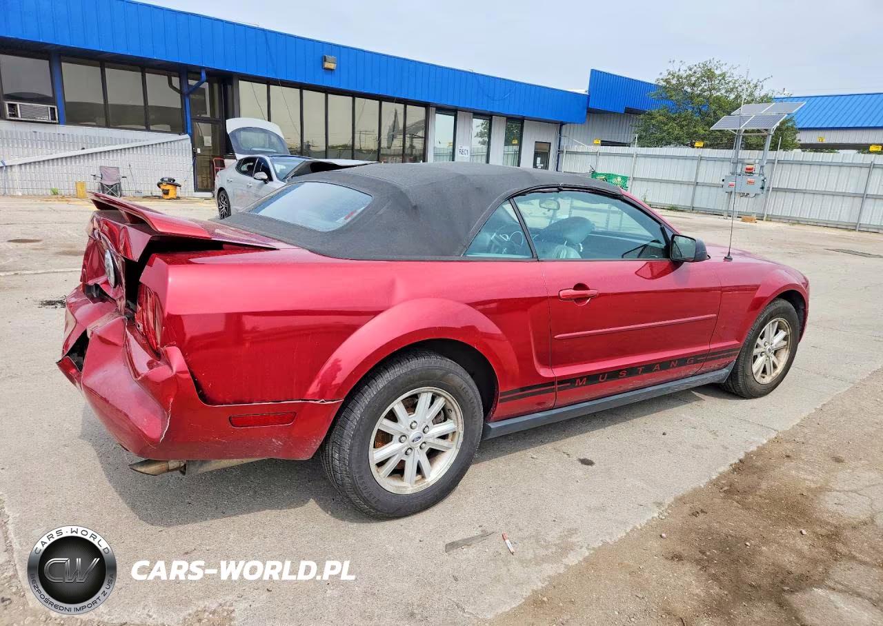 2006 Ford Mustang V6 Convertible VIN:1ZVFT84N065224819 - 3