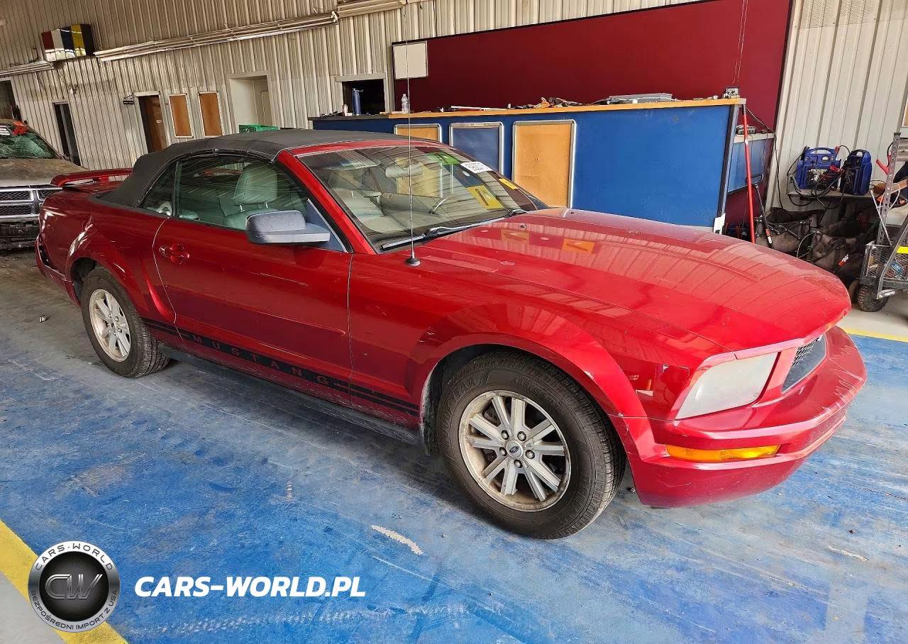 2006 Ford Mustang V6 Convertible VIN:1ZVFT84N065224819 - 4