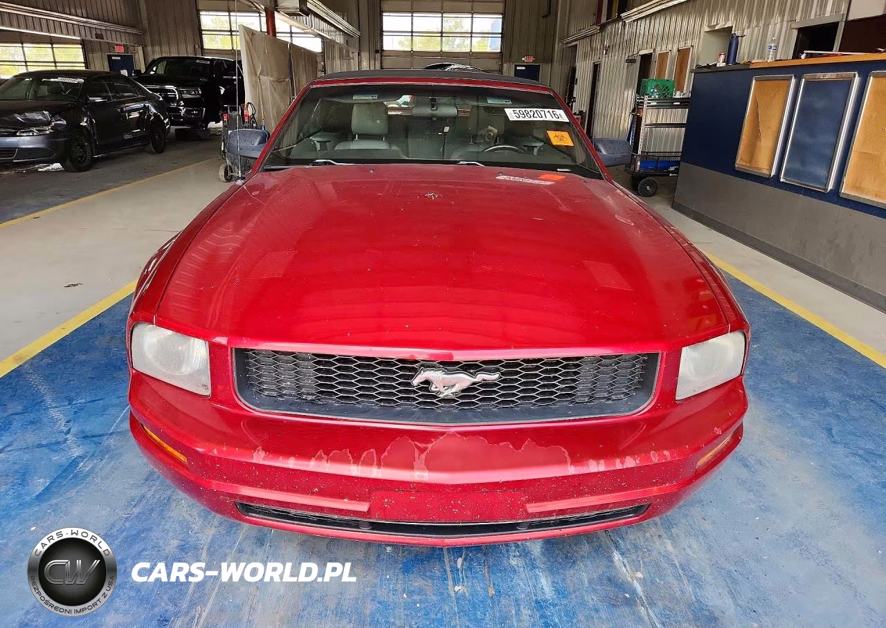 2006 Ford Mustang V6 Convertible VIN:1ZVFT84N065224819 - 5