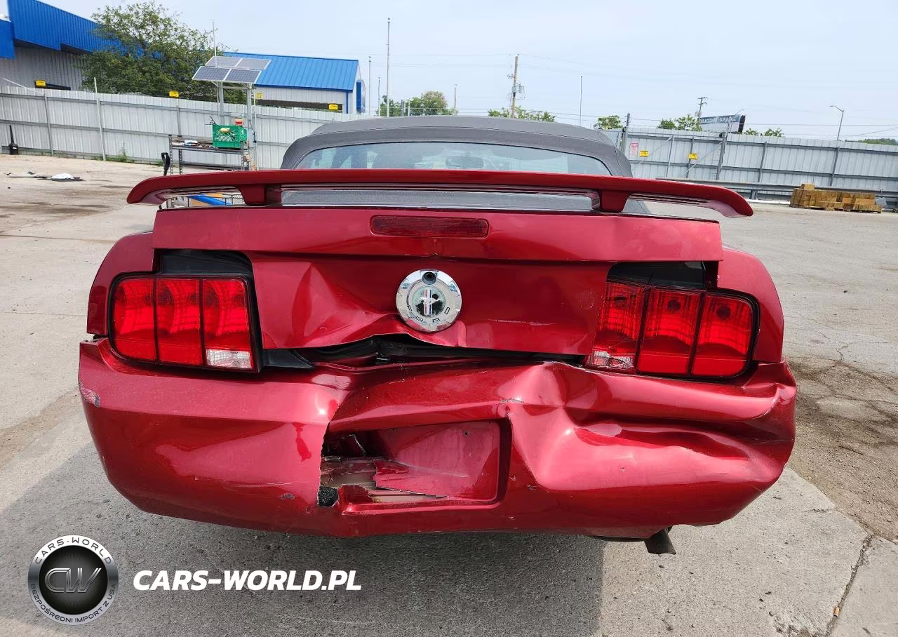 2006 Ford Mustang V6 Convertible VIN:1ZVFT84N065224819 - 6