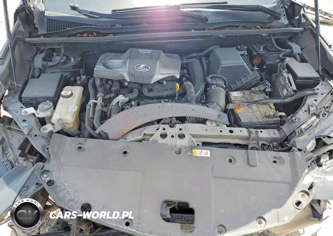 2020 Lexus Nx 300 F Sport VIN:JTJSARBZ5L2170205 - 11