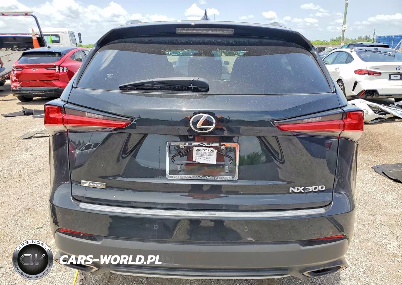 2020 Lexus Nx 300 F Sport VIN:JTJSARBZ5L2170205 - 6